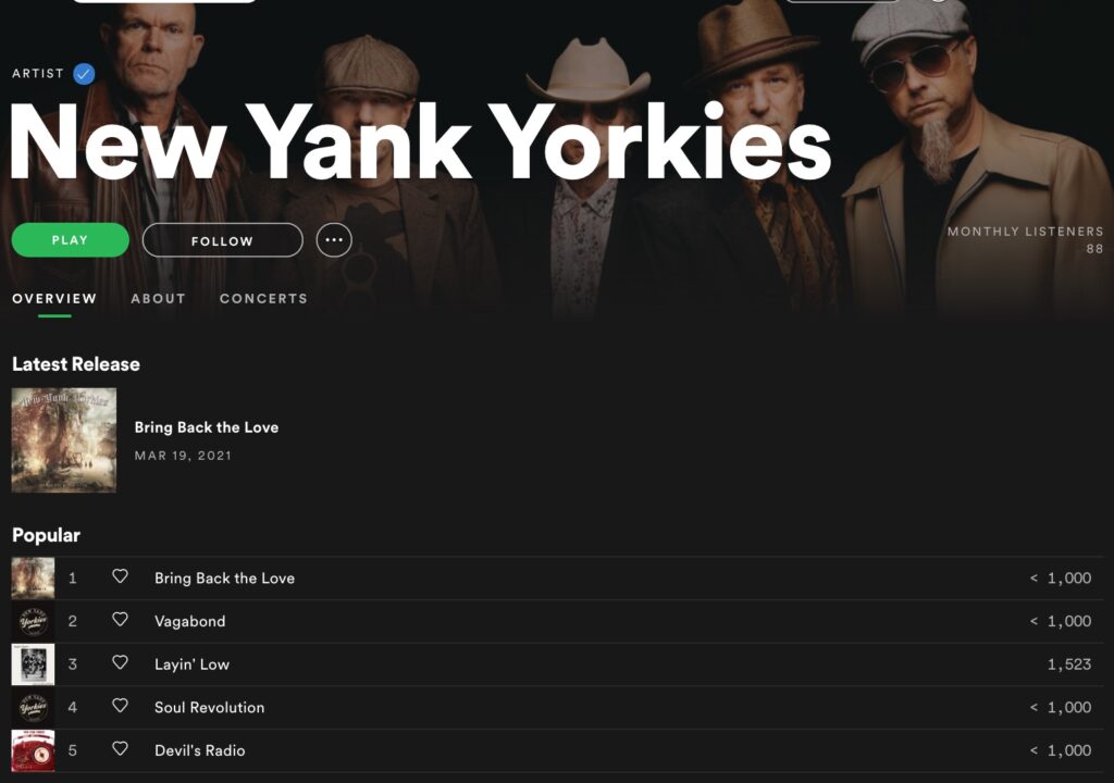 New Yank Yorkees - Spotify